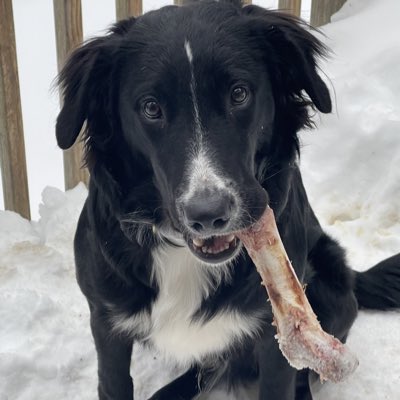 Cigar_benz_daddy tweet media