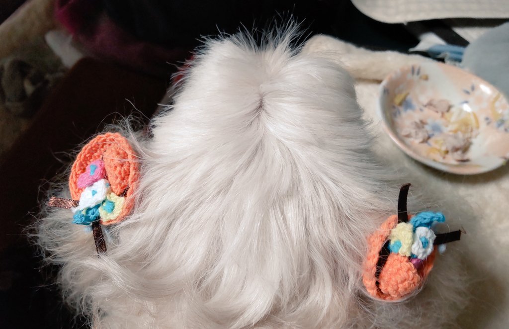 保っちゃん おニューの耳飾りu U 100均で買ったのにゴムを通しただけ わんこ ペキプー ペキニーズ トイプードル 犬 ペット かわいい Peekapoo Pekapoo Cutedog Poodle Pekingese む Musica T Co Eeoclowlwo Twitter