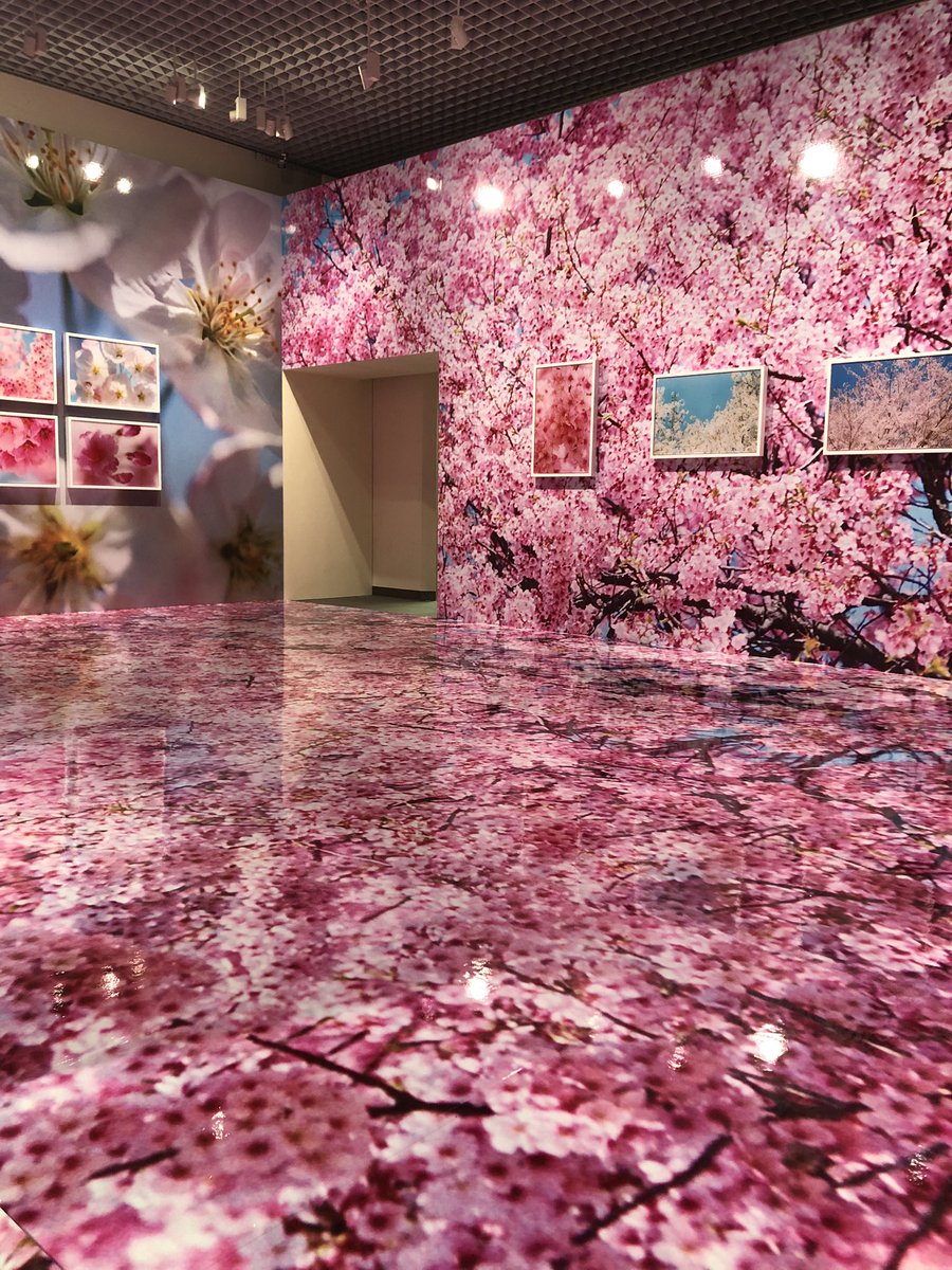 松坂屋美術館 蜷川実花展開催です 本日2月13日 4月4日まで南7階松坂屋美術館にて開催します 桜の部屋 や色鮮やかな花の作品など写真撮影可能なコーナーもございます 蜷川実花の作品世界をお楽しみくださいませ 蜷川実花展 松坂屋名古屋店 松坂屋 松坂屋美術館 蜷川実花展開催です 本日2月13日 4月4日まで南7階松坂屋美術館にて開催します 桜の部屋 や色鮮やかな花の作品など写真撮影可能なコーナーもございます 蜷川実花の作品世界をお楽しみくださいませ 蜷川実花展 松坂屋名古屋店 松坂屋