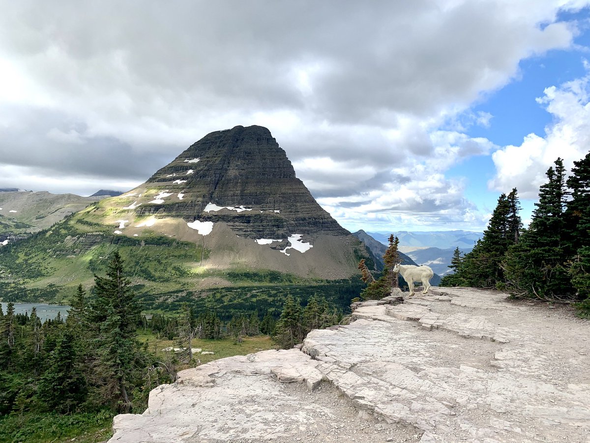 jesshilgendorf's tweet photo. @kylebelanger1 Happy birthday from Montana, Milo! 🥳 If you get a chance to visit the Treasure State, make sure to check out Glacier National Park, aptly nicknamed the “Crown of the Continent.” Here’s a photo I took during my visit last summer. 😊 https://t.co/Tm12lLcwvz