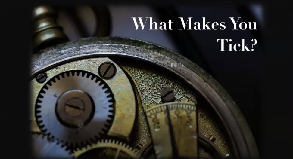 TeamEDHull tweet media