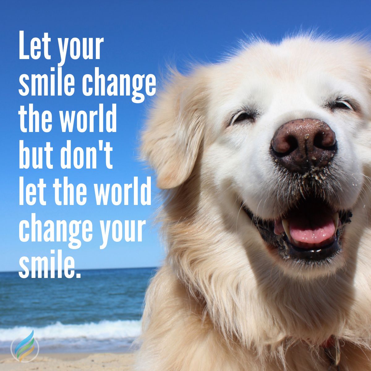 yourgrowth's tweet photo. Let your smile change the world but don't let the world change your smile. #Smile #ChangeTheWorld #Growth https://t.co/qs5iUPn7A4
