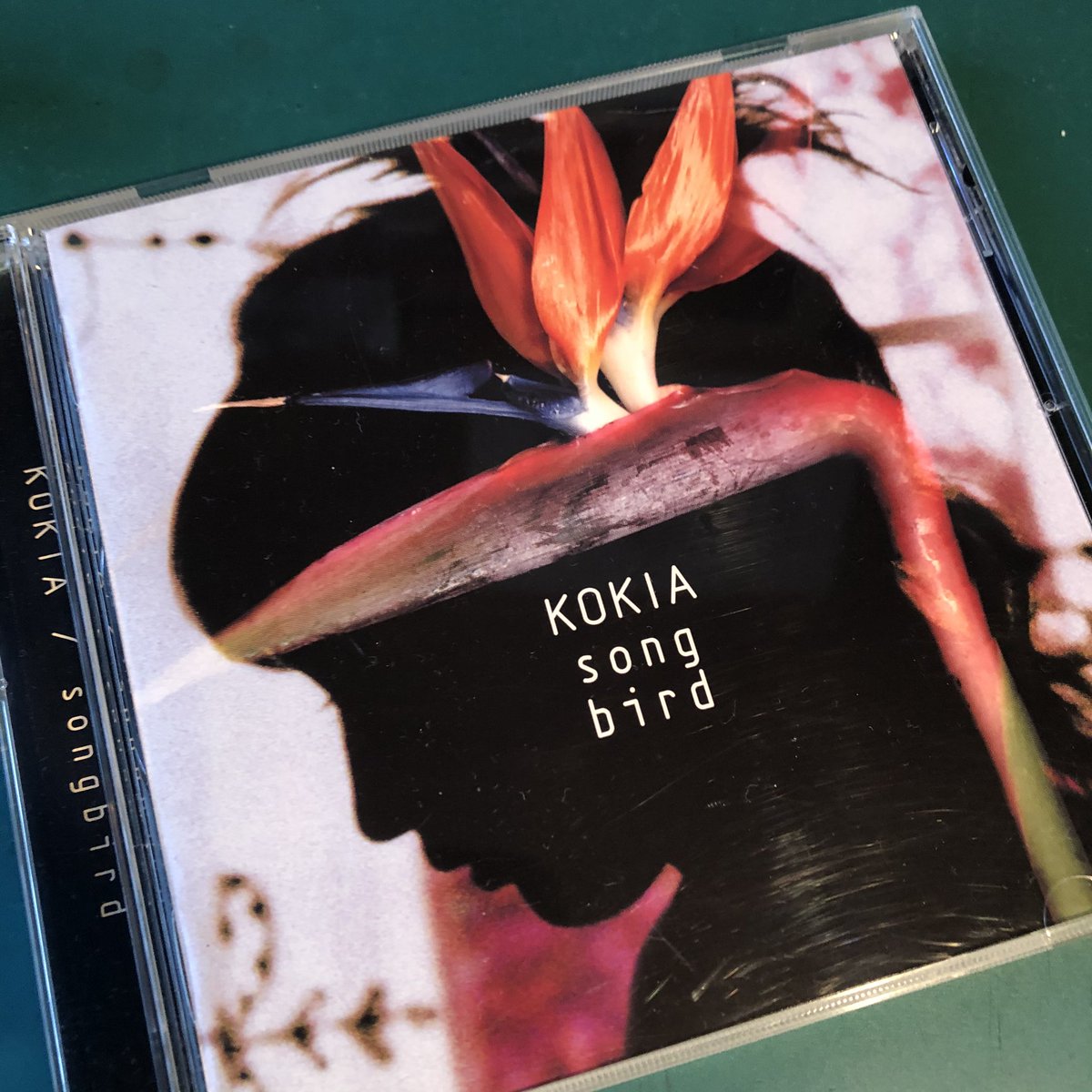 神羅カンパニー団長 今日のbgm Songbird Kokia 透明度の高い伸びやかな歌声に合う幻想的なアジアンテイストな曲調かと思えばみんなの歌のようなコメディタッチな曲調 アップダウンを自在に使いこなしここぞとばかりのオブラートが耳に心地よい 神羅カンパニー団長 今日のbgm Songbird Kokia 透明度の高い伸びやかな歌声に合う幻想的なアジアンテイストな曲調かと思えばみんなの歌のようなコメディタッチな曲調 アップダウンを自在に使いこなしここぞとばかりのオブラートが耳に心地よい