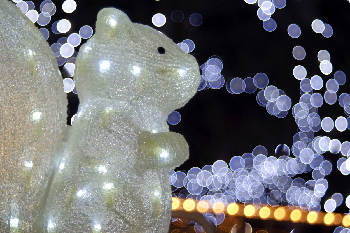 _portrait_snap_'s tweet image. プロジェクターレンズのテスト撮影
バブルボケやばっ
Lens:Diaplan 80mm F2.8
#projectorlens #oldlens #fujifilm