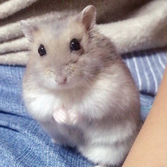 winterthinker's tweet image. 