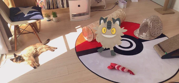 うちのニャースら 