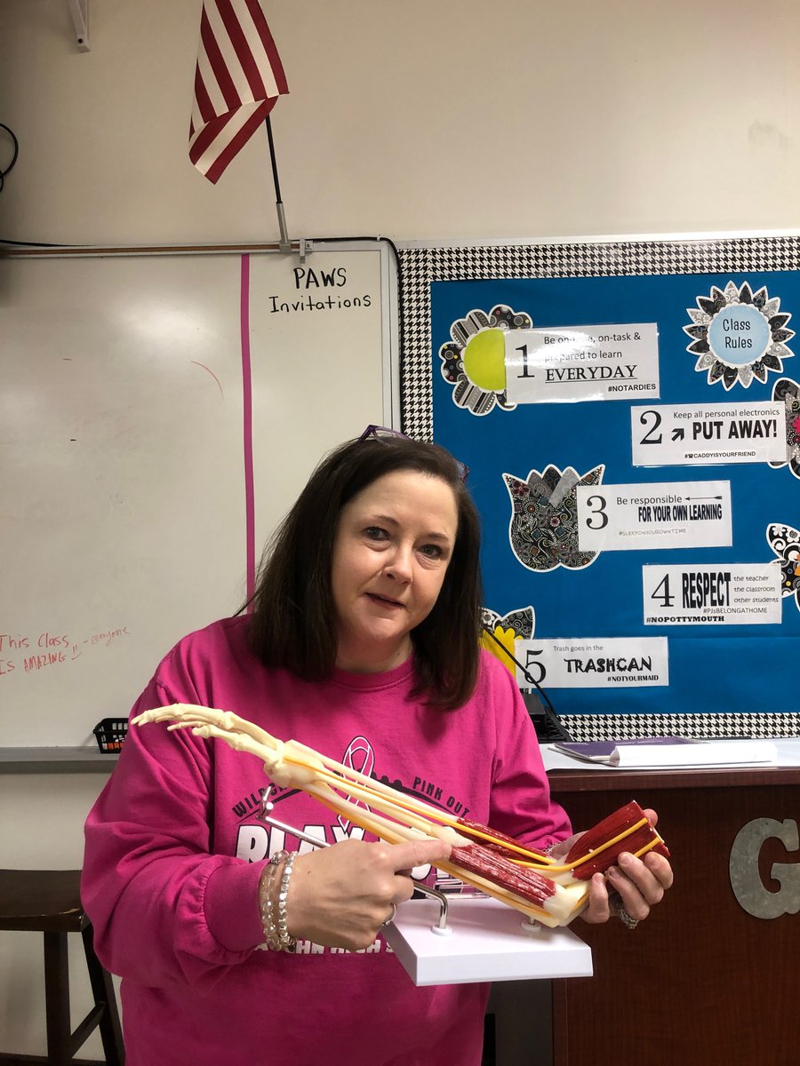 Jamie P Norton tweet media