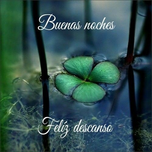 Claudio Ybarra 79 on Twitter: Claudio Ybarra 79 on Twitter: