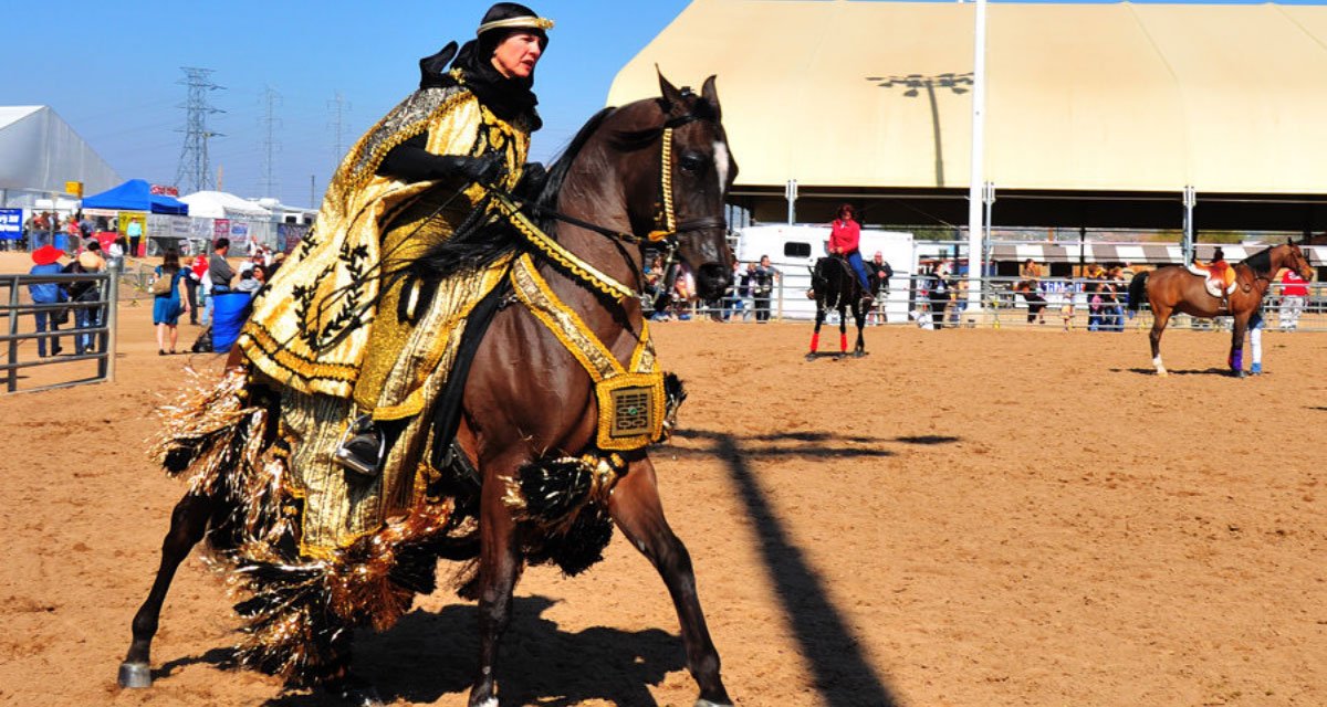 The Arabian Horse Show and 10 Fun Things To Do In Scottsdale This February
At #1 is  The Arabian Horse Show
Promises to have exciting competitions, gala parties, educational seminars, lots of events focused towards family fun. See the complete list, go to ow.ly/gwv250DyBuj