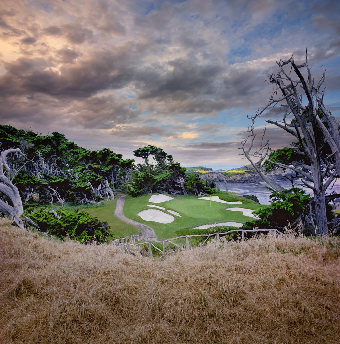 Paul Birnie tweet media