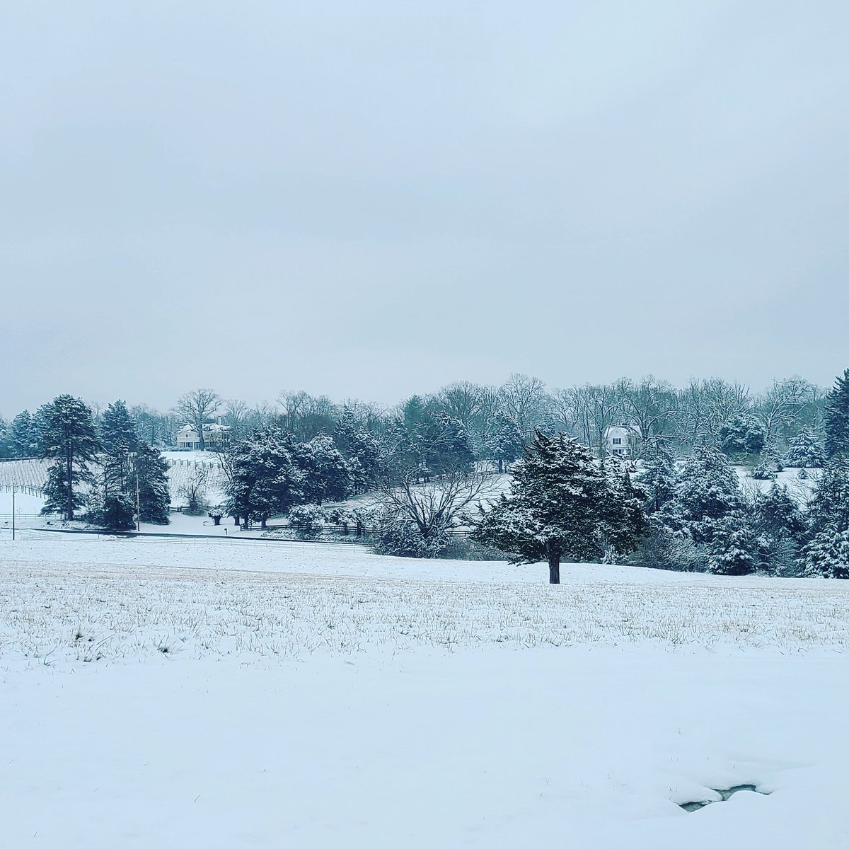 Our craft store <a href="/pikassoswig/">Pikasso Swig</a> was off site today at the most beautiful farm! 6 kiddos crafting away at home, and the snow made a beautiful backdrop! Hosting an event? Let us bring the swig to you! #havecraftswilltravel #DIY #crafting
