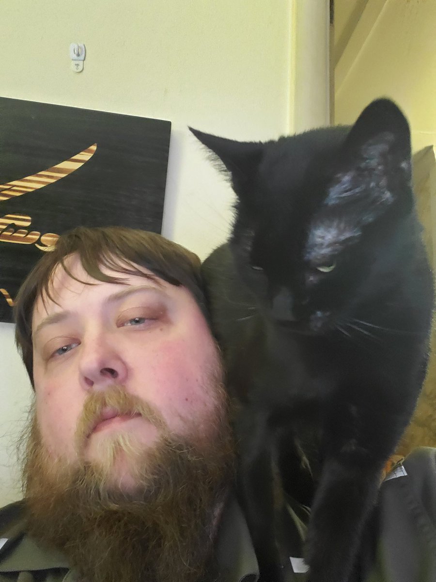TheTweakedOff1's tweet photo. I'm trying to relax after work and...well...#parrotcat https://t.co/0wruwjFCKs