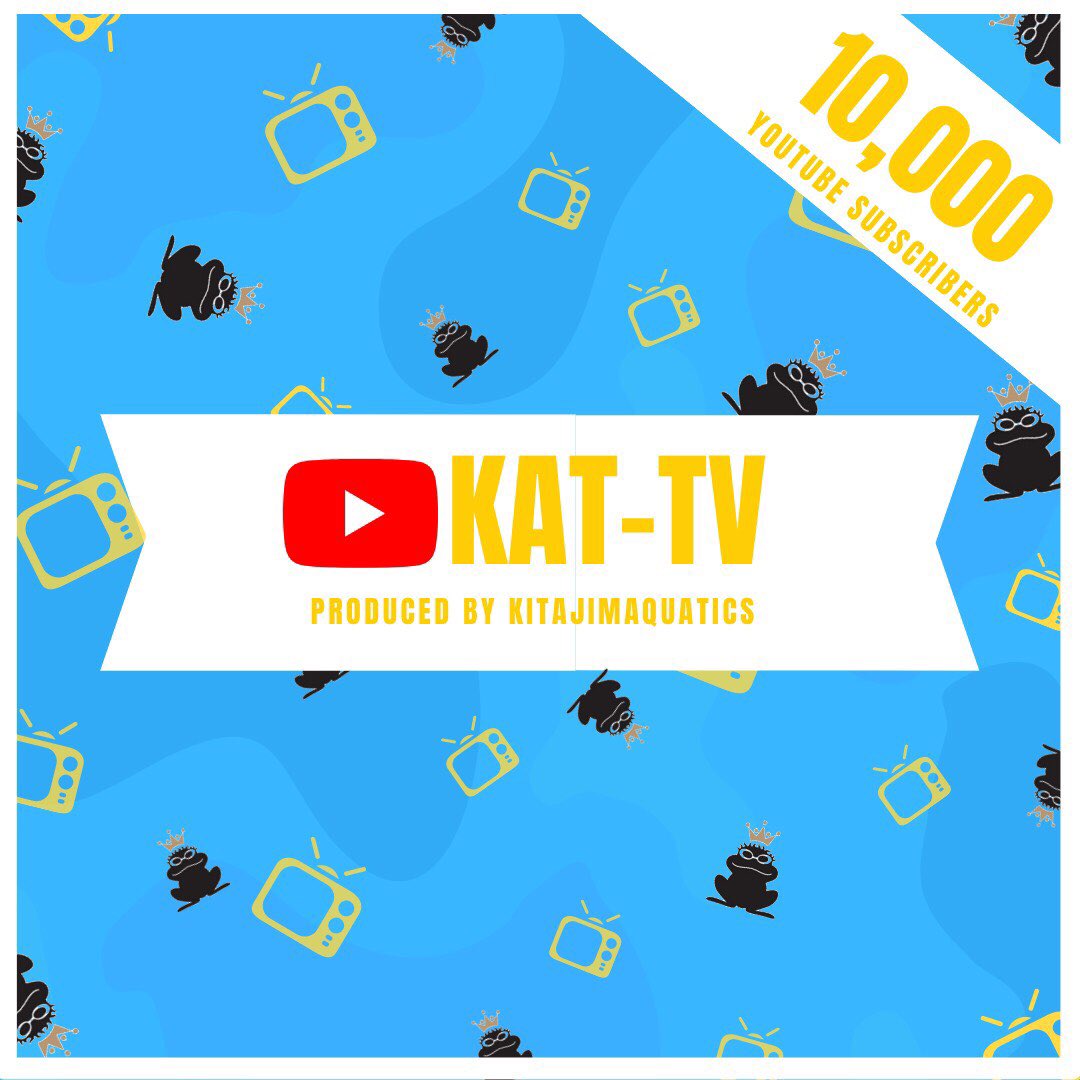 Kitajimaquatics Kitajimaquatics Twitter Kitajimaquatics Kitajimaquatics Twitter