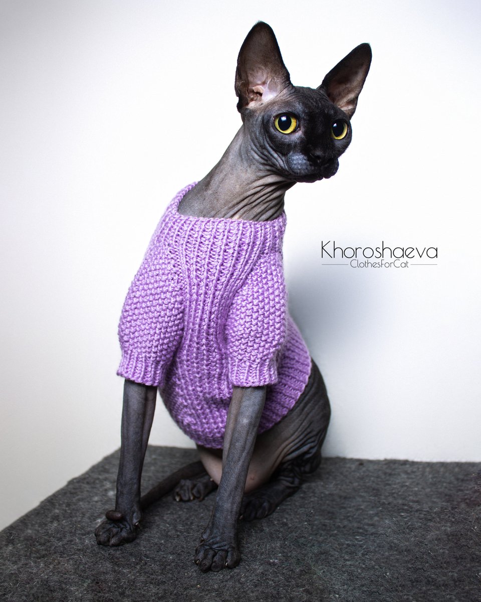ClothesForCat's tweet photo. Excited to share the latest addition to my #etsy shop: Cat Sweater With Buttons Size M Knitting Pattern PDF + The pattern supplement, Knit On Straight Knitting Needles https://t.co/e0smbnhiY8 #knitting #birthday #halloween #catsweaterpattern #pdfcatsweater #knitcatswea https://t.co/vM7xro6bTU