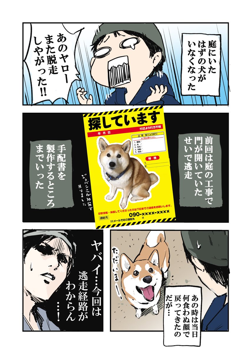 犬が脱走したけど ギリ敷地内にいた件 