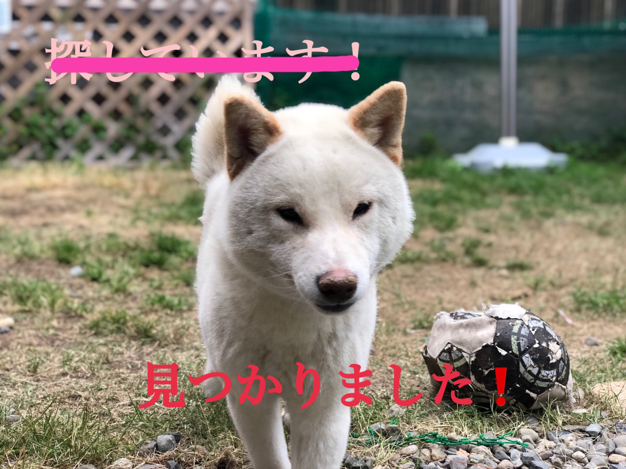 革工房 Aqulia Leatheraqulia Twitter