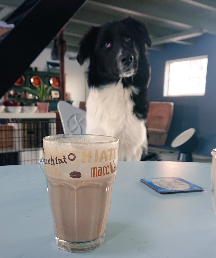 Herald Nobel tweet media