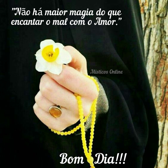 Místicos Online - Bom Dia!!! Flores do dia que seja pleno de alegria e  grandes jardins! #misticosonline #misticos #tarot #tarotonline #bomdia  #alegria #flores #jardins #pazeluz