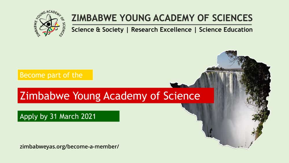 ZIM_YAS's tweet photo. Call for new fellows!
Are you a Zimbabwean and PhD holder who wants to join a group of young dynamic scientists using their experience in science to better their communities? 
Submit your application before 31 March 2021.
https://t.co/s6tbvOOT5g https://t.co/KPVRW0fW2W