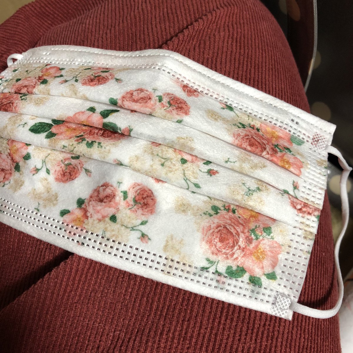 柴犬ハナ 安いねー 布マスクは手作りしてるんだけど 不織布マスクの可愛いの買ったよー