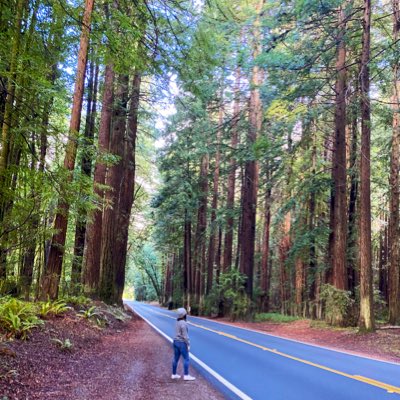 A perfect state of happiness🌲🤍! 

#RedwoodTrees #California
