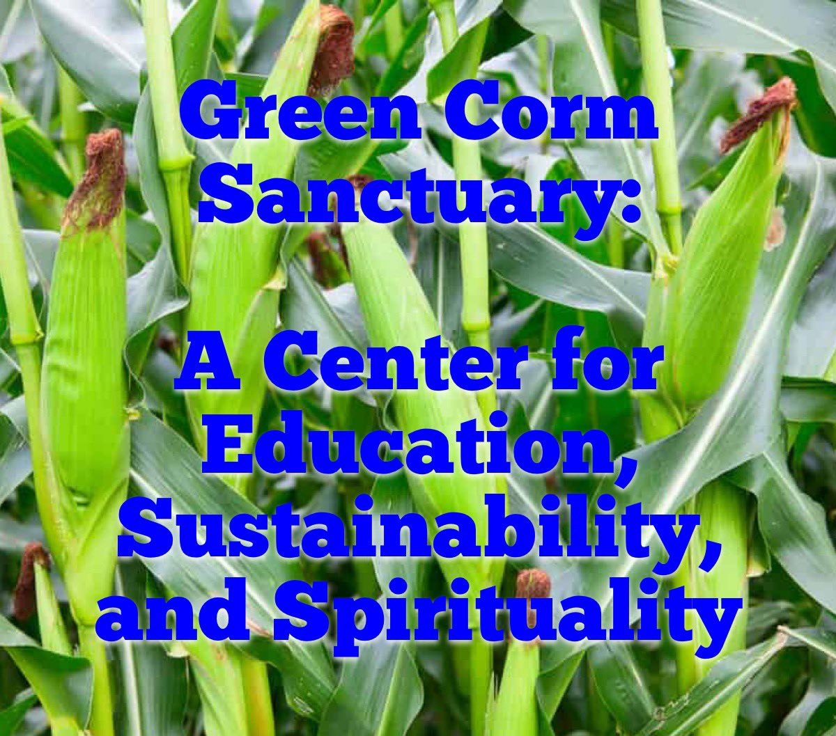 TheHavenFlorida's tweet photo. #GreenCorn #Sanctuary #education #sustainability #spirituality #unity #reconciliation #earth #stewardship #environmentaljustice https://t.co/rgZA4IyluE