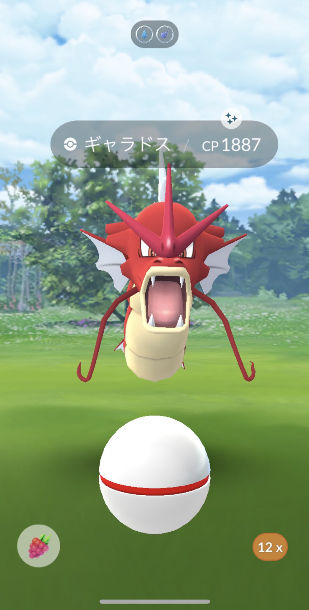 トム メガギャラドスのレイドやったら赤いギャラドスきた ポケモンgo メガレイド 色違い T Co C4qtt8tdos Twitter