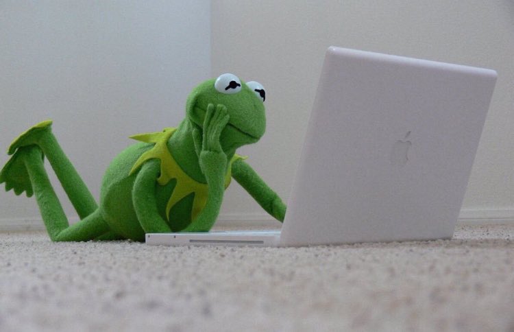 always online mutual-do they ever stop tweeting-do they sleep? -always updated on their favs and tea-probably texting in gcs all the time