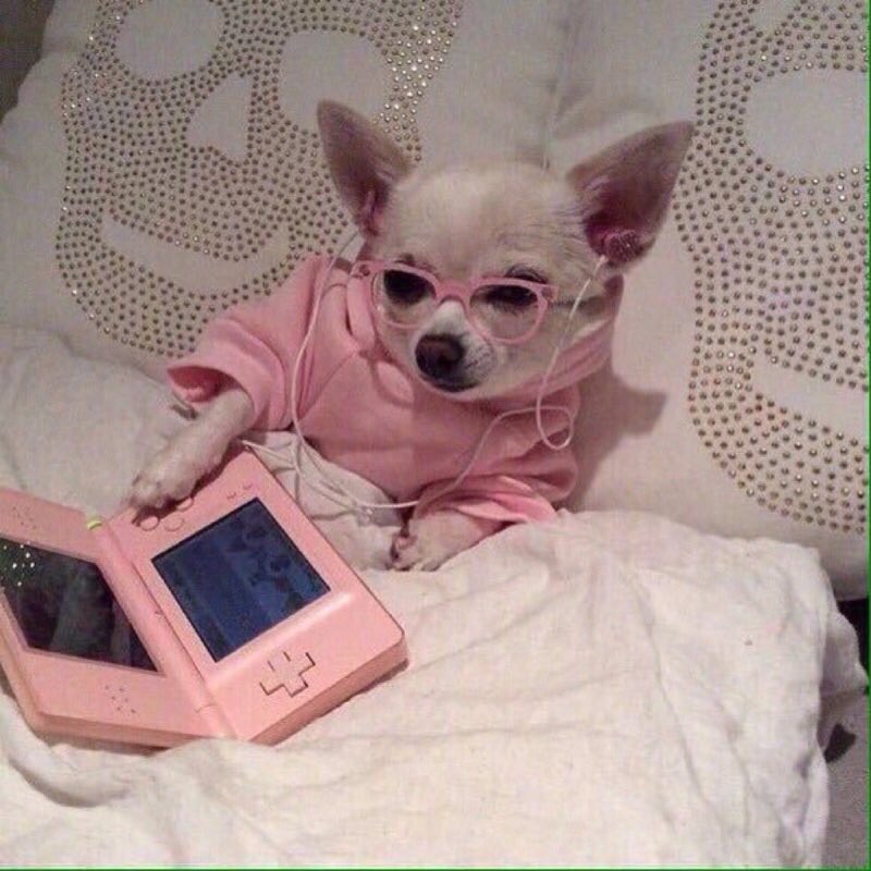 too many gcs mutual-they never make a gc but always rt to be in them-know your tea bc they have eyes everywhere-probably have like 5 of them muted half the time tho-wants to make friends and know drama