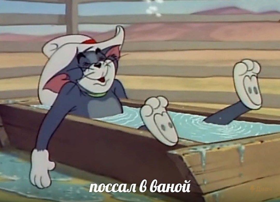 EuFTAYSWgAM3bKE?format=jpg&name=medium