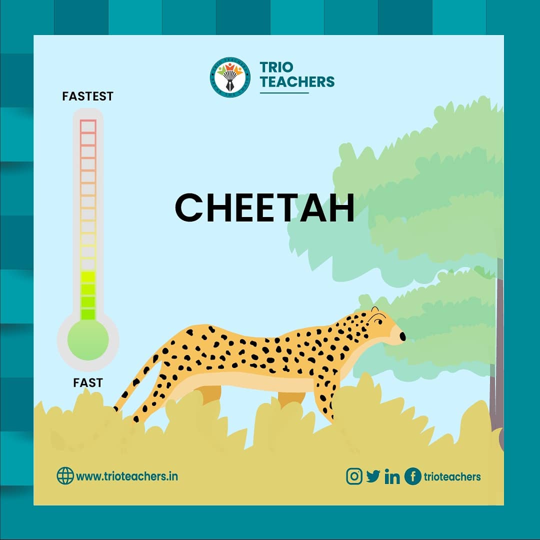 TeachersTrio's tweet photo. Last one >> Other slides
Have you enjoyed it? π
Follow @TeachersTrio
.
.
.
#fun #funny #studentfun #funwithstudents #students #studenthacks #schoolstudents #schoolstudents #studentfacts https://t.co/907Gbsq0Sz