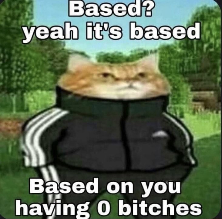 reactions on Twitter "cat in an adidas tracksuit based yeah it’s based