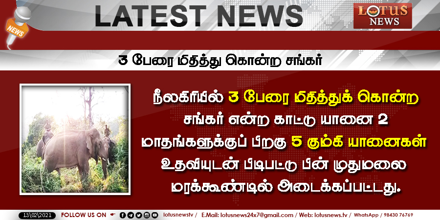 LotusNews_24x7's tweet image. 3 பேரை மிதித்து கொன்ற சங்கர்.

#Nilgiris | #ElephantShankar | #KumkiElephant | #Lotus | #LotusNews | #LotusTv | #LotusLatestNews