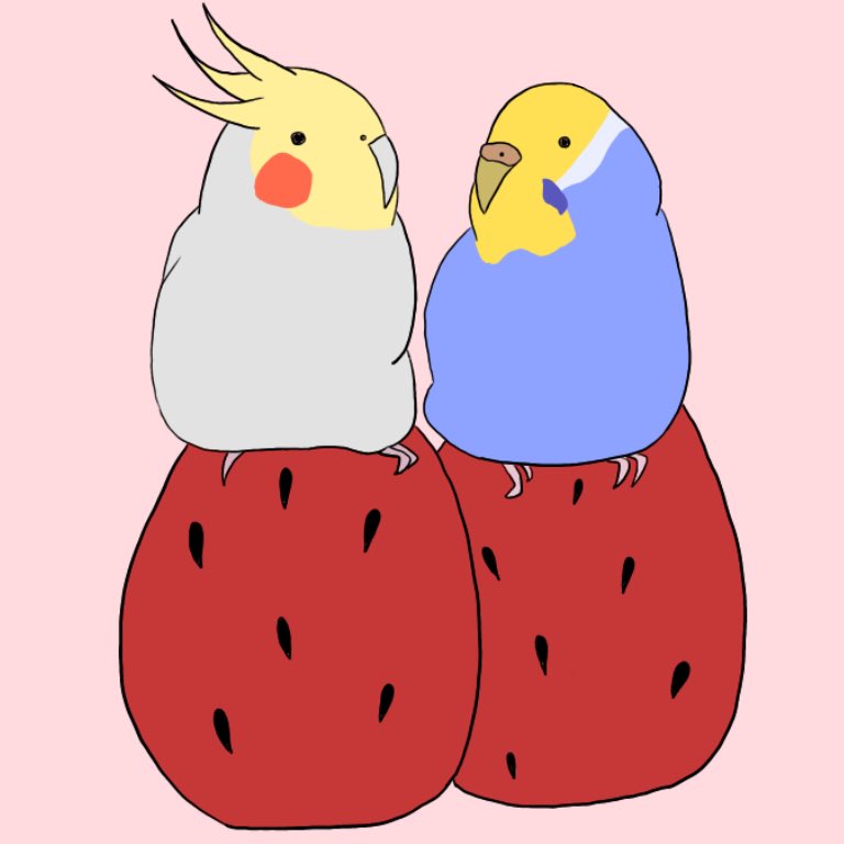 もちょ いちごの季節 デジタルイラスト 鳥 キャラクター インコ イラスト イラストの日 ラインスタンプ いちご 春