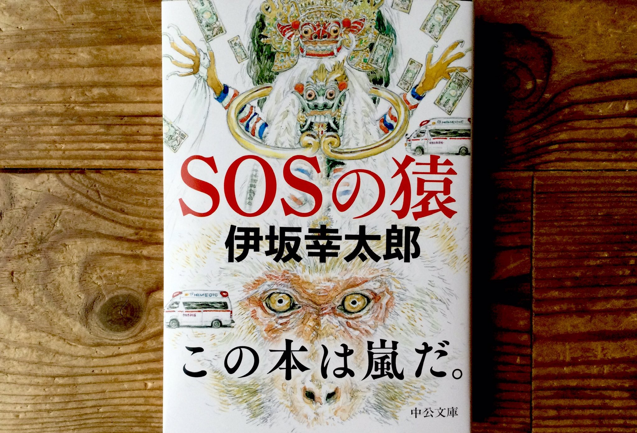 五十嵐大介お知らせ 1626年北京1908年中央シベリアでの謎の爆発 19年フォークランド紛争 現代インドでのキリスト教聖遺物紛失 そしてパリで起きた小さな交通事故 巨大な猿を巡る物語が幕を開ける Saru T Co Pirwvxizfb 五十嵐作 Saru
