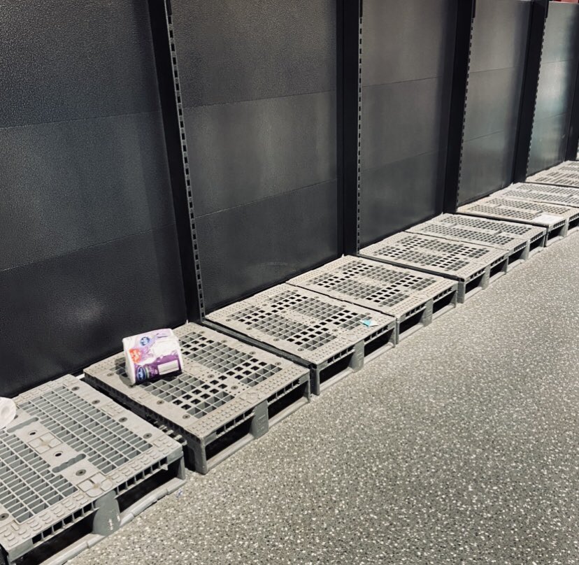 Keira Savage tweet media