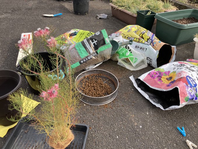 Yuus レッツむぎむぎさん の最近のツイート 12 Whotwi グラフィカルtwitter分析