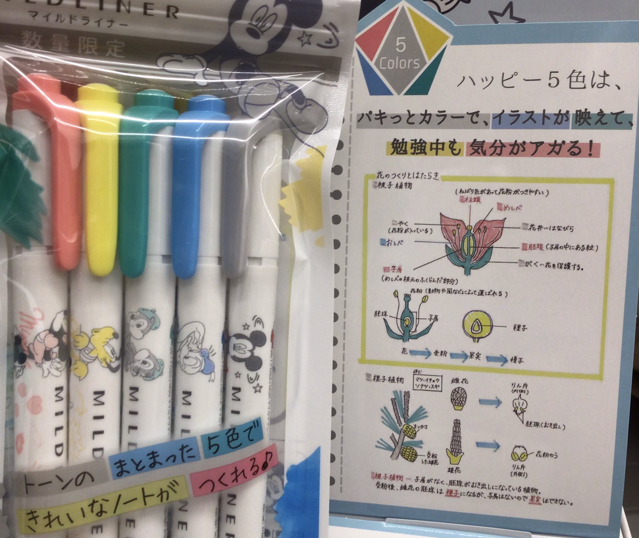 Tsutaya半田店 マイルドライナー ディズニーが 入荷しました 数量限定です 好きな色を1本ずつ選ぶのも楽しいし 5色セットもすごくかわいいので迷います ゼブラ マイルドライナー ディズニー T Co Rjmyzkjapl Twitter