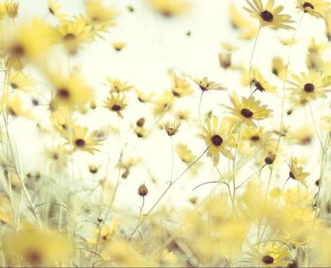 ❥ She who protrays each emotion, each feeling in the best way possible♡Rashami x Emotions ~ thread❥ 𝘼𝙢𝙪𝙨𝙚𝙢𝙚𝙣𝙩 HAPPY BIRTHDAY RASHAMI