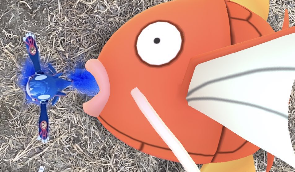 おさむん いたつり カイオーガルアーを買えばこのような写真を撮ることも可能 T Co Vad5idvftx Twitter