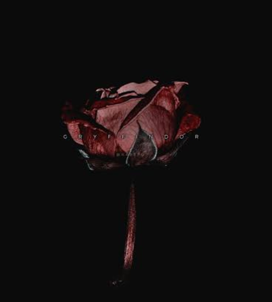 ❥ 𝘼𝙣𝙭𝙞𝙚𝙩𝙮HAPPY BIRTHDAY RASHAMI