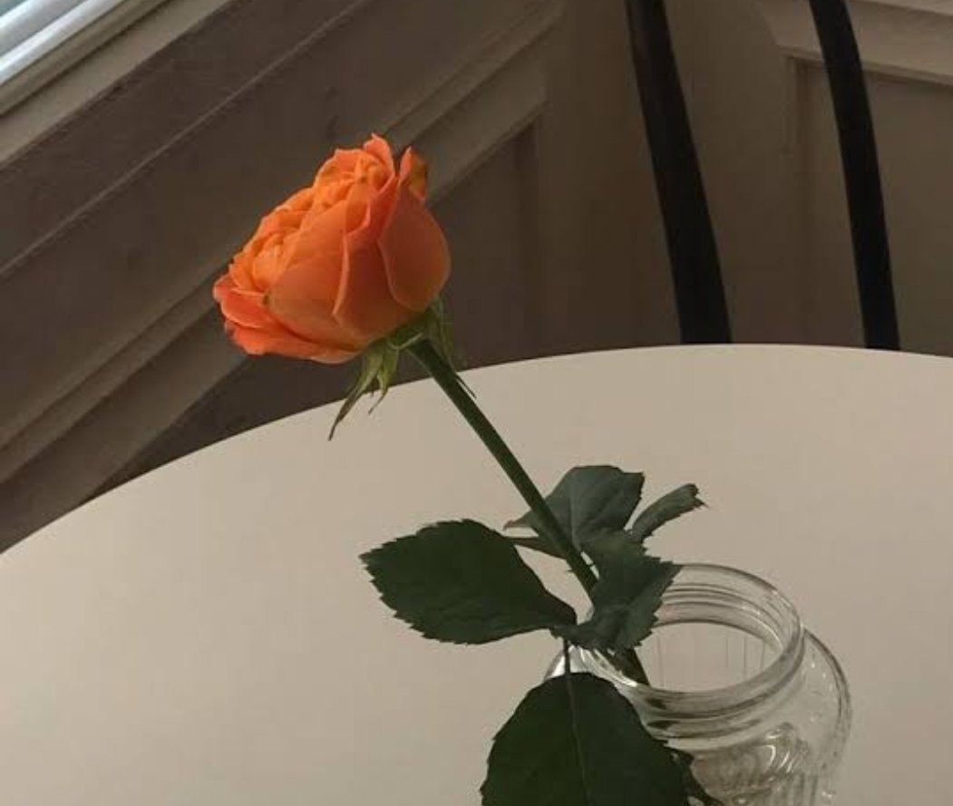 ❥ 𝘼𝙬𝙚HAPPY BIRTHDAY RASHAMI