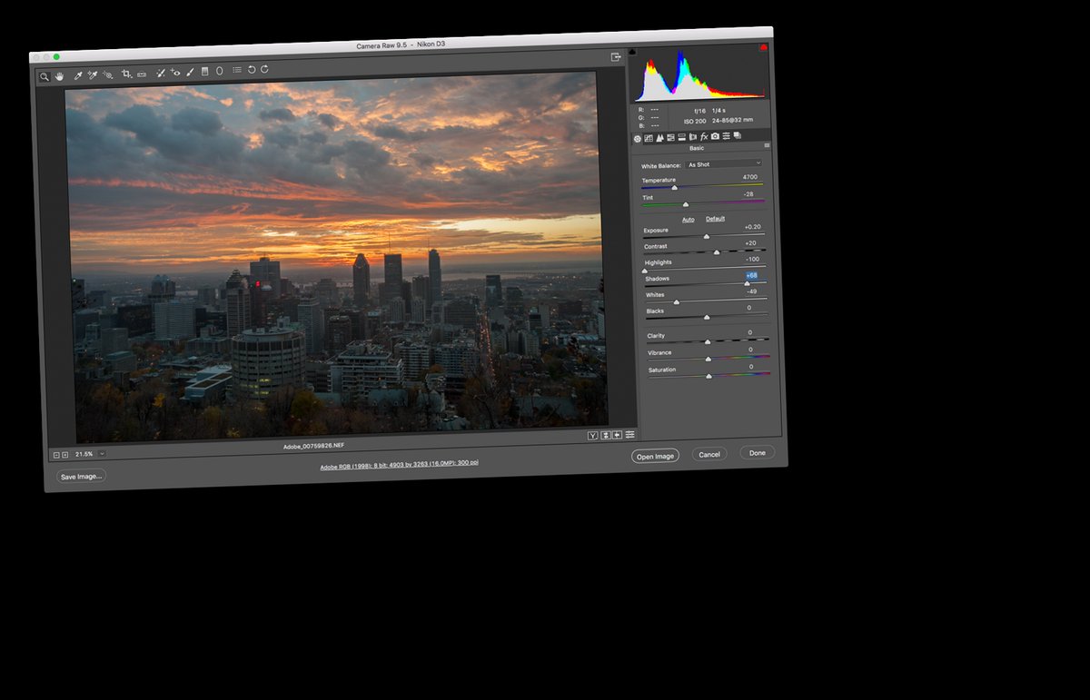 camera raw plug installer
