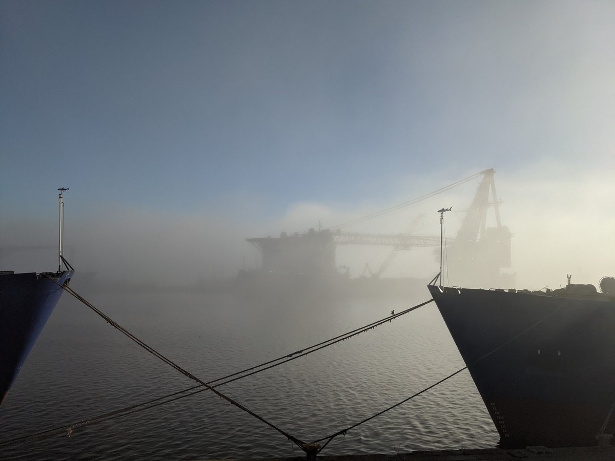 luanheywood's tweet photo. Seals and mist! https://t.co/sahl9g7JBa