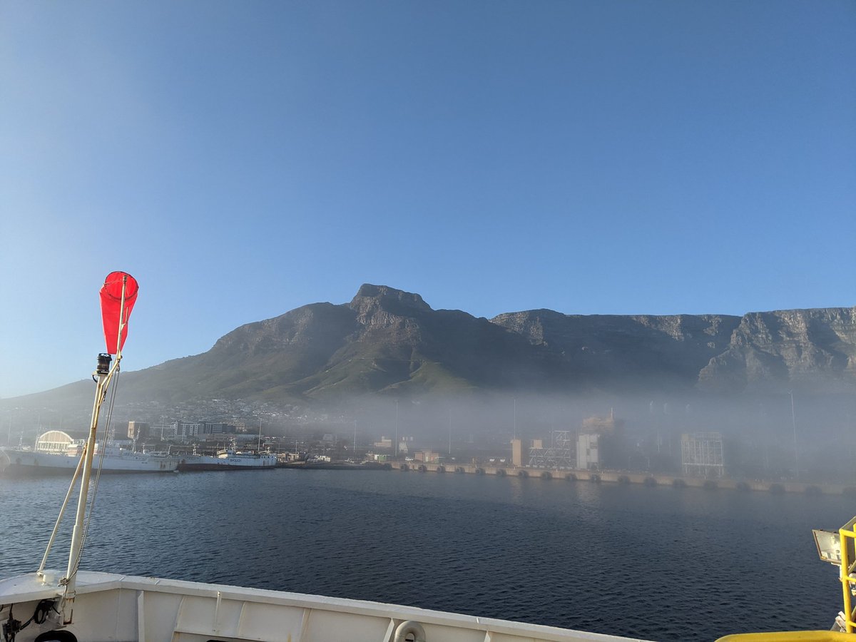 luanheywood's tweet photo. Seals and mist! https://t.co/sahl9g7JBa