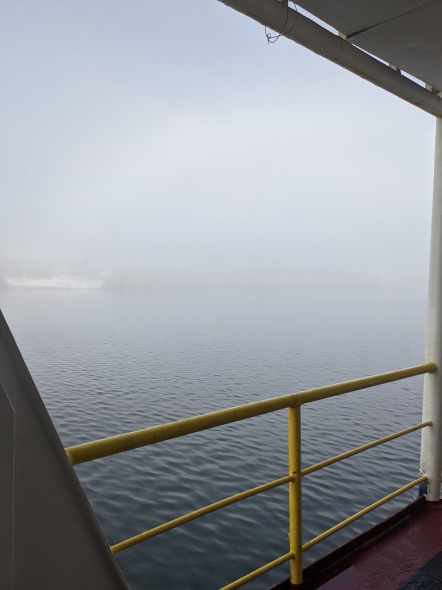 luanheywood's tweet photo. Seals and mist! https://t.co/sahl9g7JBa