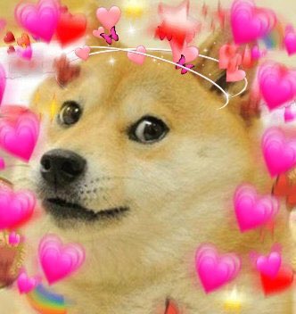 pmfl's tweet image. Babe is you a penny memestock cuz I jus wanna hodl u and never let go.