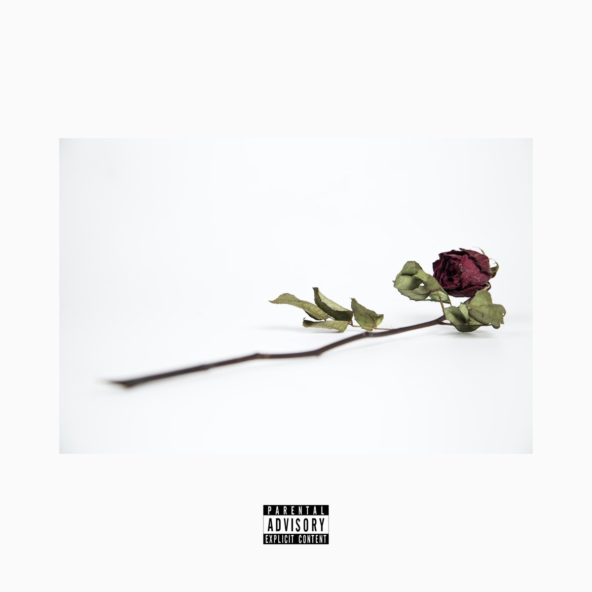y_chano_'s tweet photo. out everywhere. 🥀 https://t.co/SFsFQqTKmA https://t.co/tIbR8mktUq
