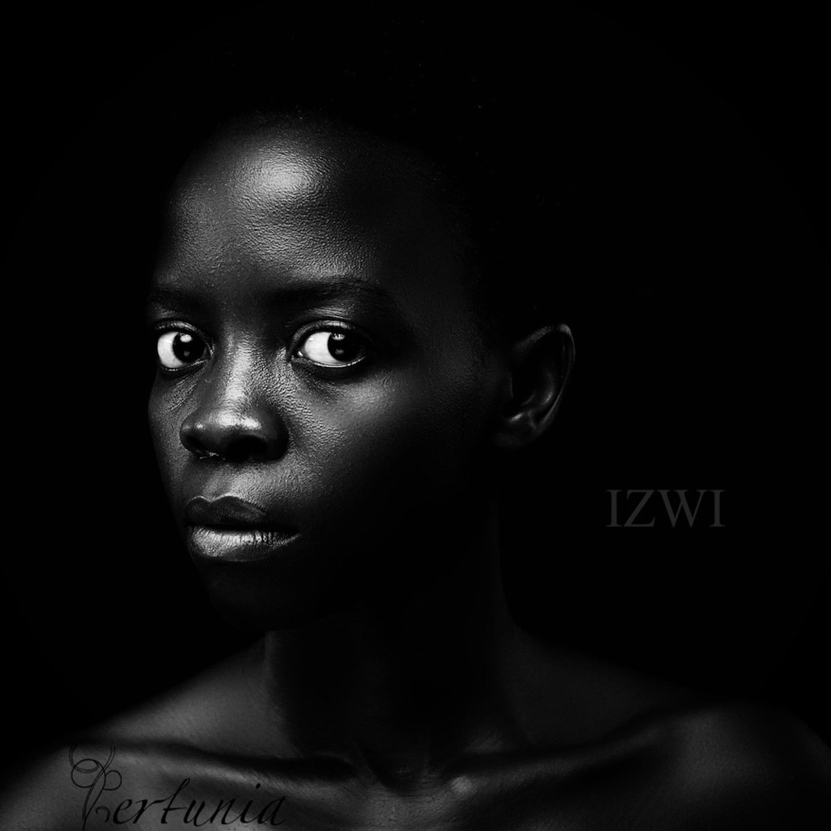 PMsani's tweet photo. IZWI. 

RELEASES END OF FEB. https://t.co/rZ76WOhp9z