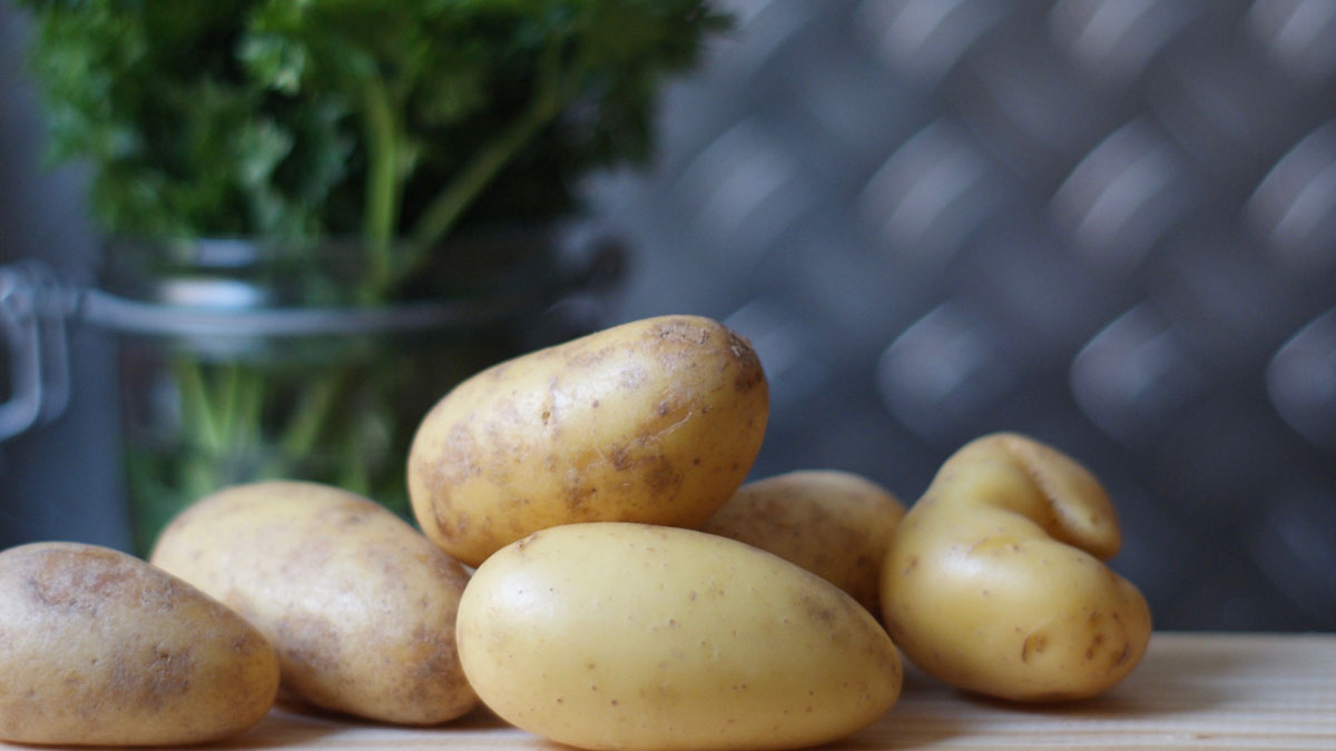 Frische Kartoffeln sind seit der Corona-Pandemie in Deutschland wieder gefragt. Erstmals seit mehreren Jahren stieg der Konsum von frischen Kartoffeln im Jahr 2020 an: Demnach landeten im vergangenen Jahr rund 13,4 Prozent mehr Frischkartoffeln in

bit.ly/3ahDIoR